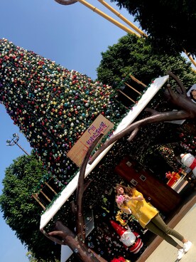 青地芒果さんのコーディネート