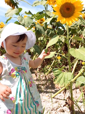 「KP（ケーピー）のアイテム（ワンピース/ドレス）」を使った、ゆずりつみなさん（キッズ・70cm）の夏コーディネート