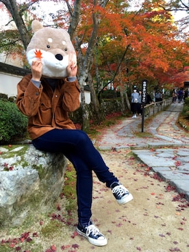 モンチッチと時々柴田さんのコーディネート