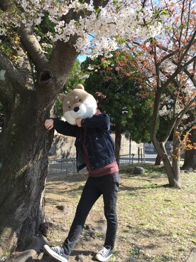 「chacktaylor」｜「アイテム（ジャケット/アウター）」を使った、モンチッチと時々柴田さん（レディース・160cm）の春コーディネート