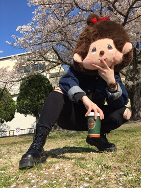 モンチッチと時々柴田さんのコーディネート