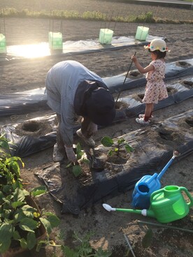 a.y.nさんのコーディネート