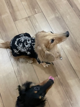 はなもさんのコーディネート