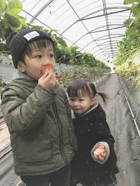 ayumiさんのコーディネート