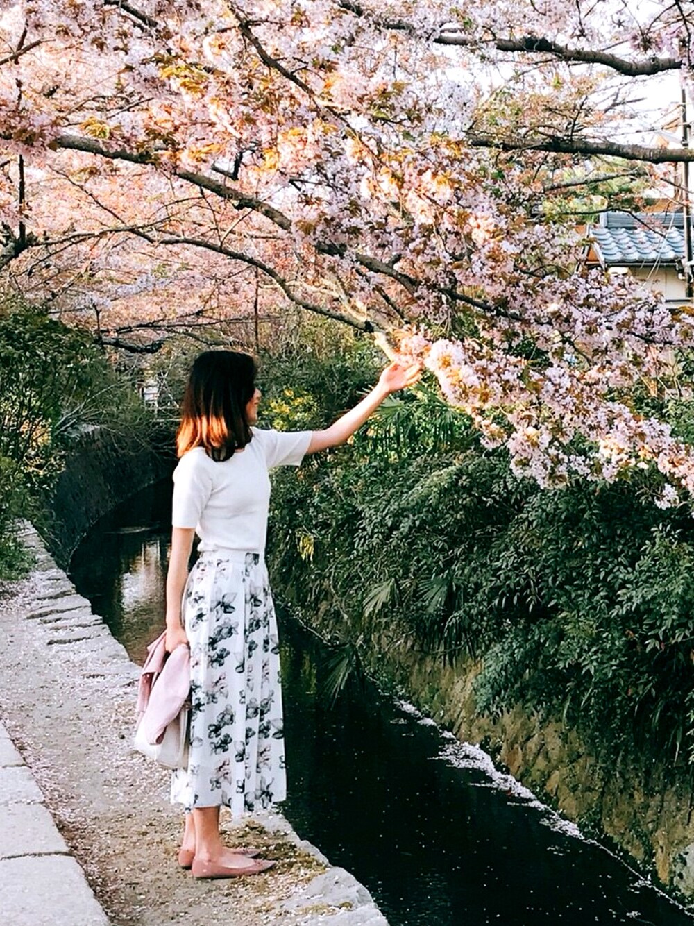 「ootd、さくら、春、spring、springstyle、休日スタイル、outfit、花柄」｜「clearのハーフミラノ5分袖ニット/トップス/春物（ニット/セーター、ホワイト系）」を使った、Crystal さん（レディース・160cm）の春コーディネートの1枚目の写真