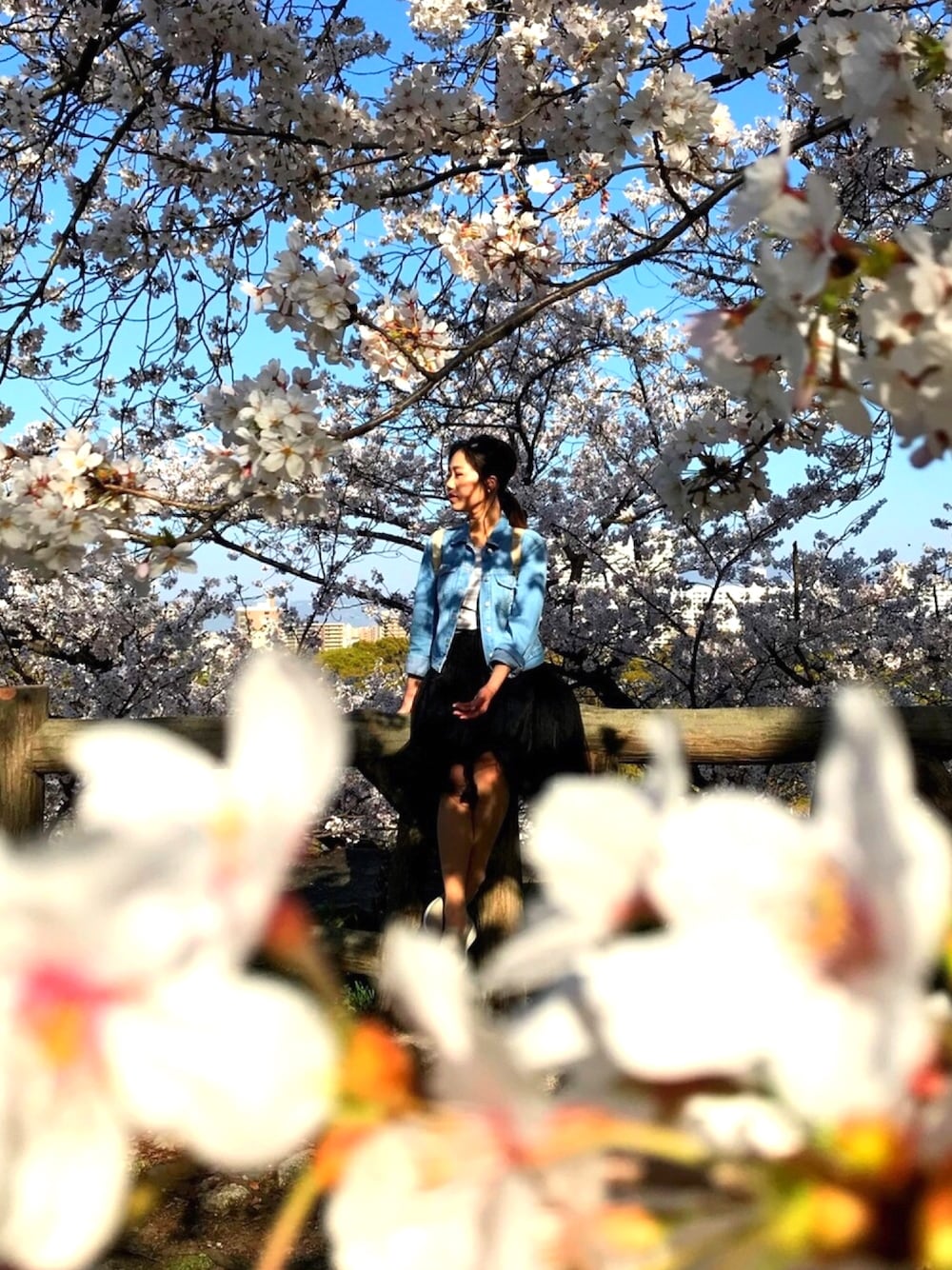 「休日スタイル、ootd、春コーデ、fashion、outfit、UNIQLO、ZARA」｜「ZARAのアイテム（デニムジャケット、ブルー系）」を使った、Crystal さん（レディース・160cm）の春コーディネートの1枚目の写真