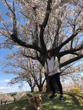 airichiさんのコーディネート