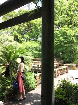 ちゃんぽんさん(レディース・158cm)の夏コーディネート