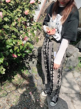 ミカさんのコーディネート