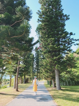 Zoe さんのコーディネート