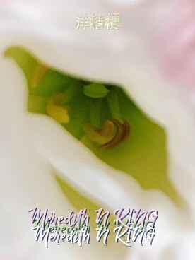 Meredith N KING寜謐謐さんのコーディネート