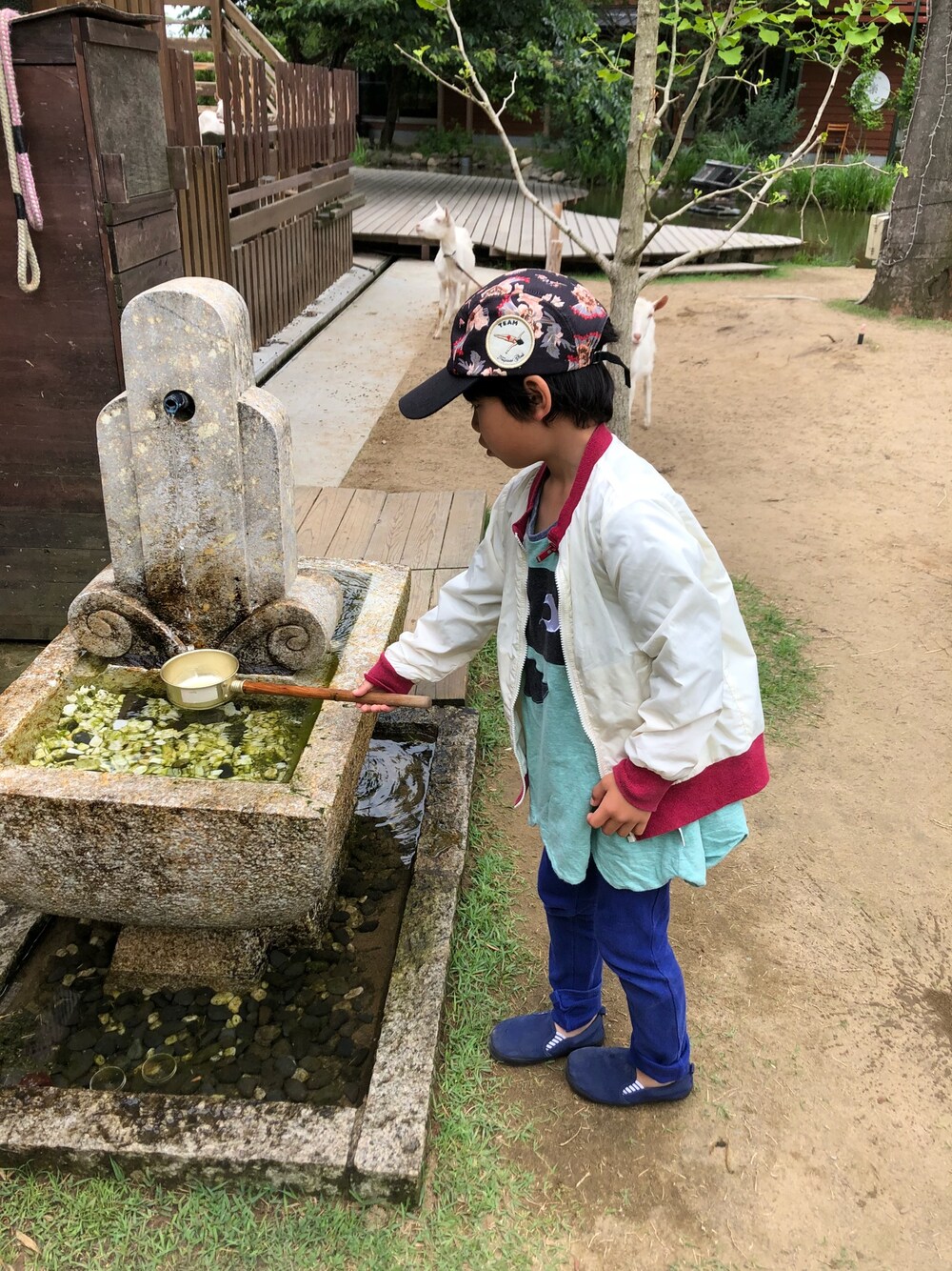 「カジュアル、キャップ、ナイロンジャケット、西松屋、スリッポン、スニーカー、ストレッチパンツ、休日スタイル、男の子、ボタニカル柄」｜「haco!のＴＥＡＭ　Ｔｒｏｐｉｃａｌ　ｇｉｒｌｓ　トロピカルキャップ（キャップ、ブラック系）」を使った、tentenさん（キッズ・120cm）の夏コーディネートの1枚目の写真