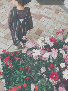 o-chan𓂅さんのコーディネート