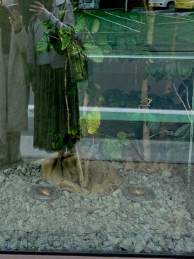 tunnさんのコーディネート