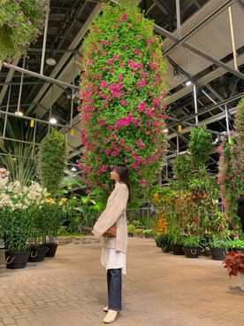 舞さんのコーディネート