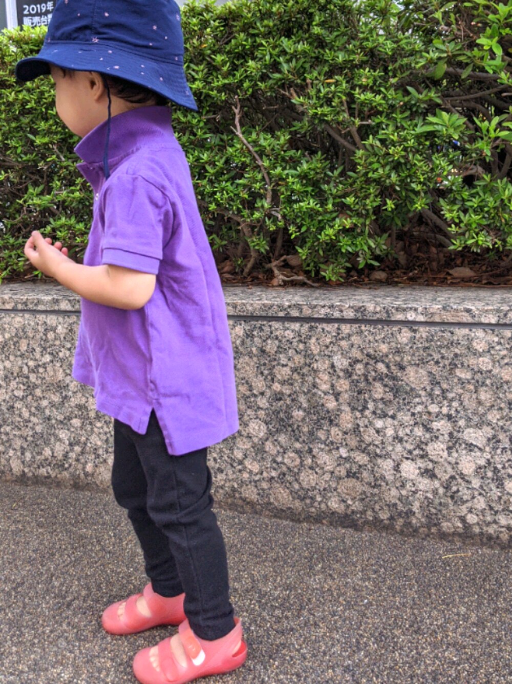 「POLO RALPH LAURENのアイテム（ポロシャツ、パープル系）」を使った、json115さん（キッズ・100cm）の夏コーディネートの1枚目の写真