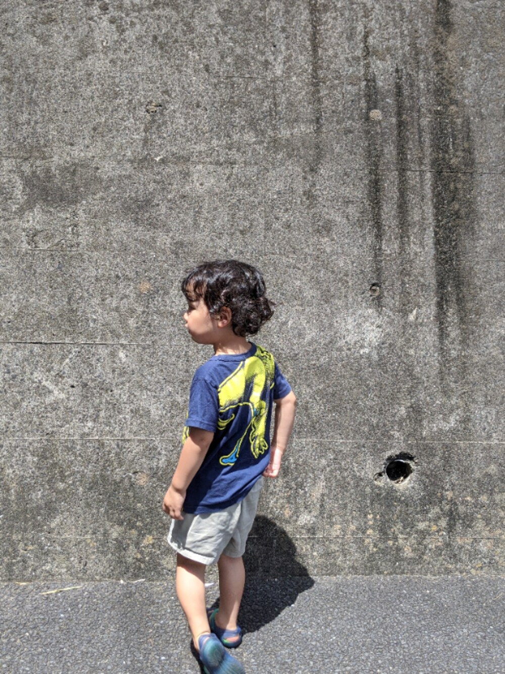 「オジコのアイテム（Tシャツ/カットソー、ブルー系）」を使った、json115さん（キッズ・100cm）の夏コーディネートの1枚目の写真