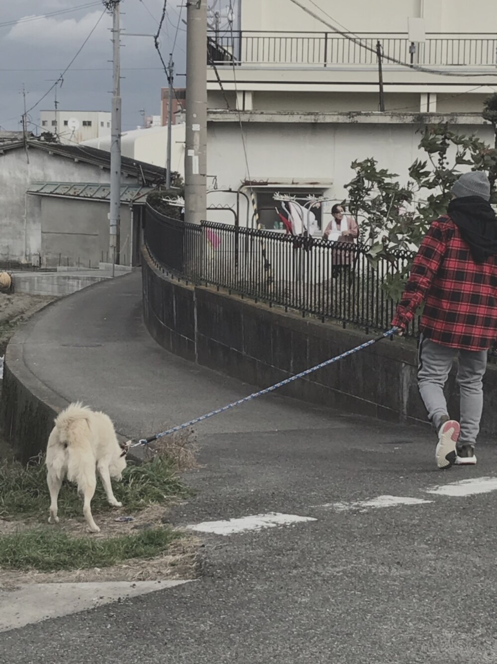 「散歩コーデ、ストリート、スニーカー、off white、Champion、adidas」｜「Championのビッグロゴニットキャップ　492-0228（ニットキャップ/ビーニー、グレー系）」を使った、tetu さん（メンズ・172cm）の冬コーディネートの1枚目の写真