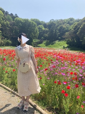 Liccaさんのコーディネート