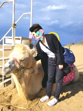 「ZOZO（ゾゾ）のスリムテーパードデニムパンツ［WOMEN］（デニムパンツ）」を使った、うみさん（レディース・155cm）の秋コーディネート