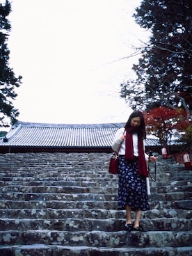 iviechanさんのコーディネート