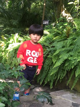 maiさんのコーディネート