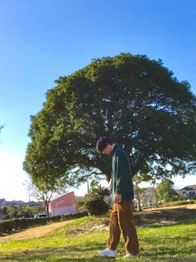 茶の子さんのコーディネート