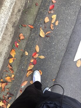 ODAさんのコーディネート