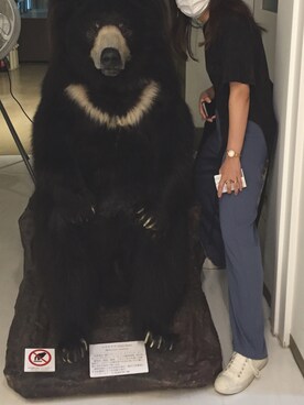 「VIAVANDAのアイテム（Tシャツ/カットソー、その他）」を使った、nozomiaokiさん（レディース・162cm）の秋コーディネート