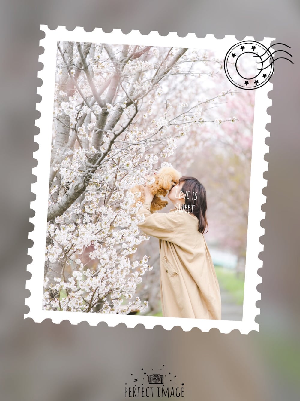 「シンプルコーデ、ベージュ、トイプードル、わんこ、わんこと一緒に、プードル、犬との暮らし、桜」｜「LOWRYS FARMのアイテム（トレンチコート、ベージュ系）」を使った、ぇむさん（レディース・162cm）の夏コーディネートの1枚目の写真