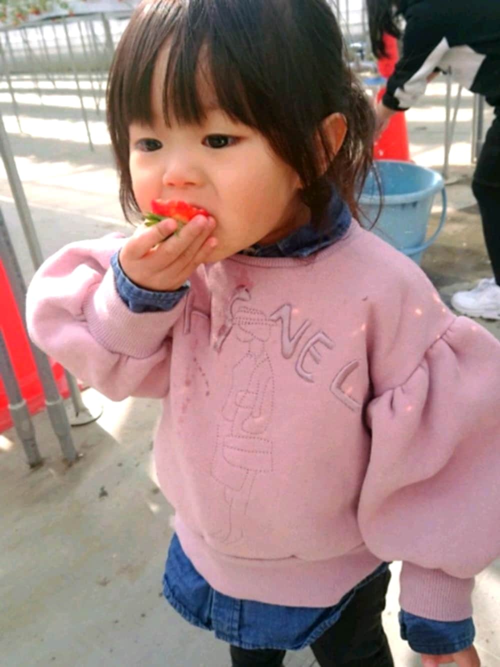 「キッズファッション、2歳、2歳5ヶ月、イチゴ狩り、kids」｜「ZARA KIDSのアイテム（シャツ/ブラウス、ブルー系）」を使った、cocorohkさん（キッズ・80cm）の春コーディネートの1枚目の写真