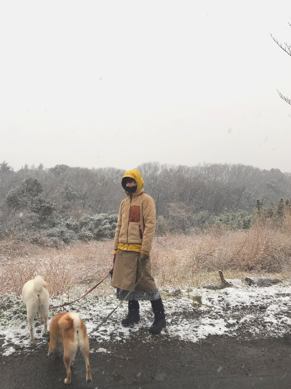 「柴犬散歩」｜「Columbiaのアイテム（その他アウター、ベージュ系）」を使った、みみこさん（レディース・154cm）の冬コーディネートの1枚目の写真