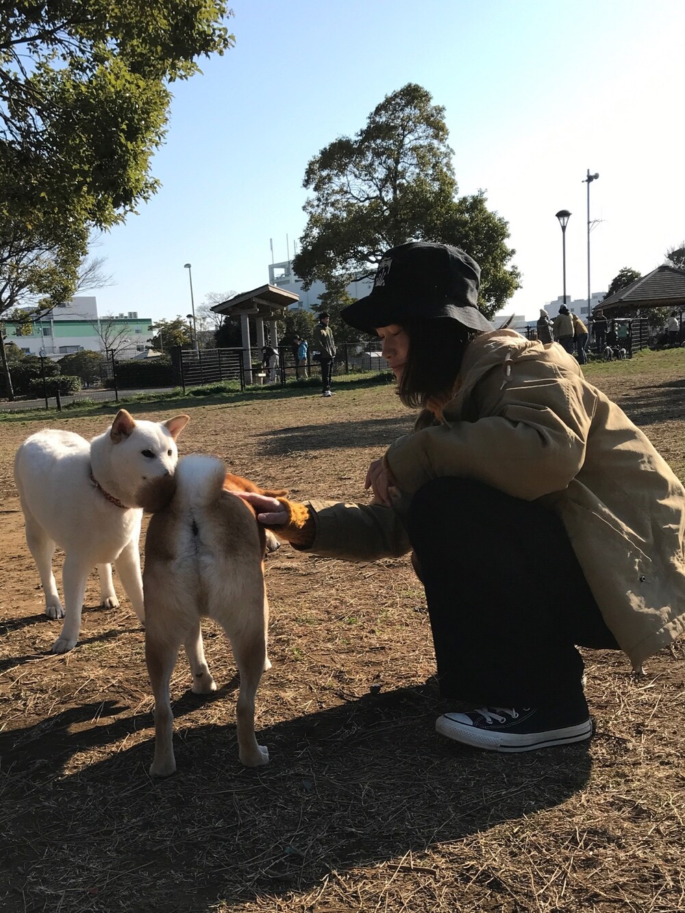「つばさドッグラン、柴犬、チャオとピケ」｜「STUSSYのStock Crown Bucket（ハット、ブラック系）」を使った、みみこさん（レディース・154cm）の春コーディネートの1枚目の写真