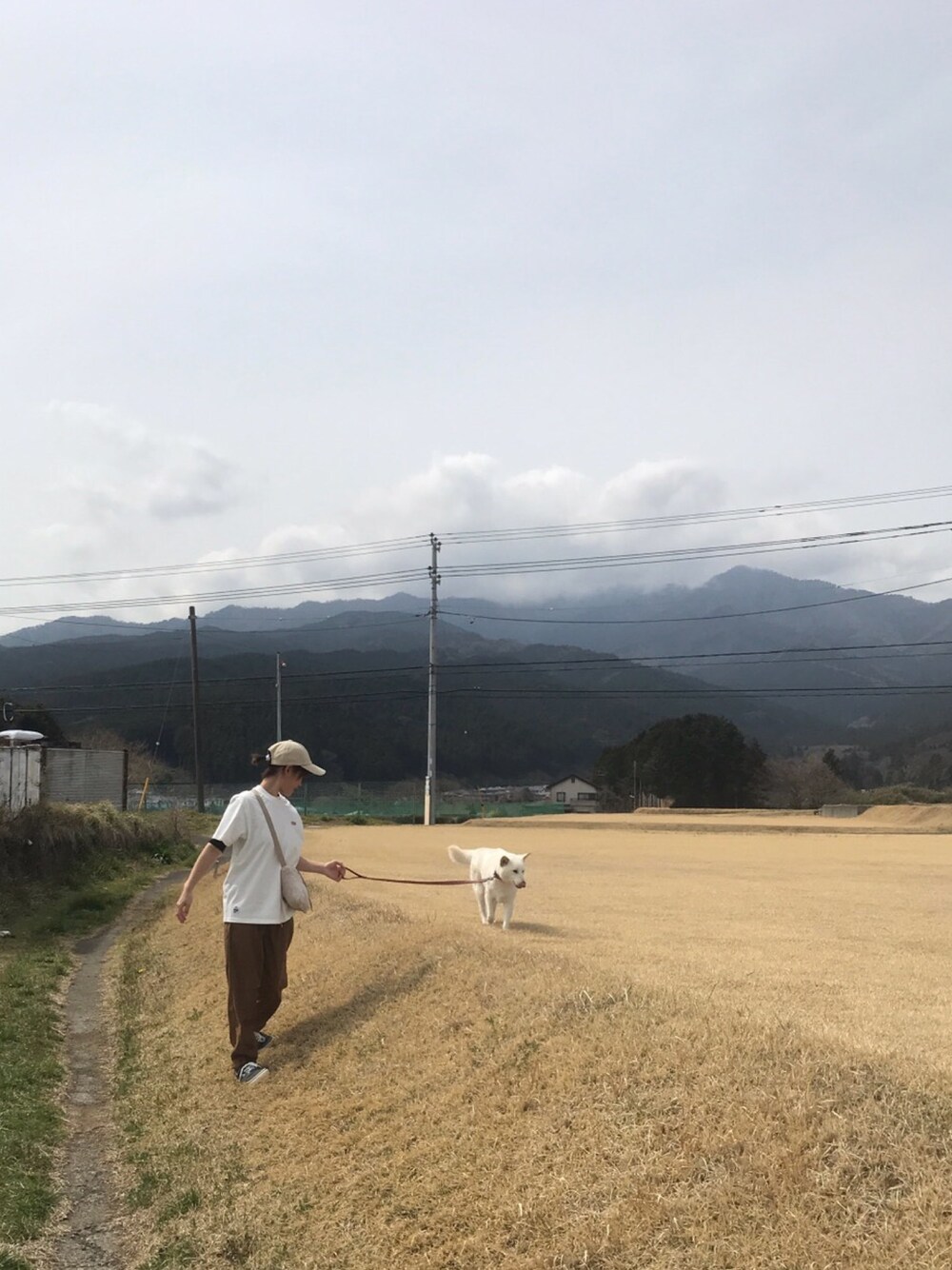 「富士山、見ただけ、散歩、柴犬」｜「CHUMSのCHUMS Booby Logo T-Shirt（Tシャツ/カットソー、ホワイト系）」を使った、みみこさん（レディース・154cm）の春コーディネートの1枚目の写真