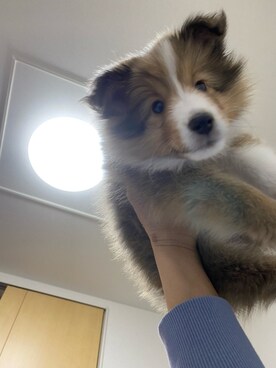 ryci0130さんのコーディネート