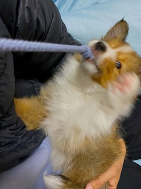 ryci0130さんのコーディネート