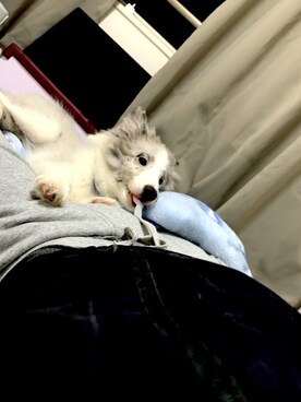 ryci0130さんのコーディネート