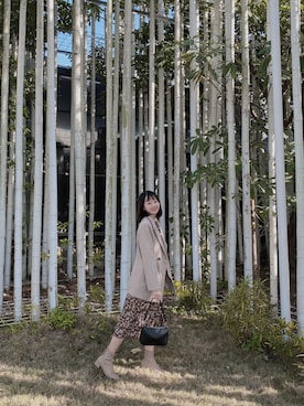 Shan3さんのコーディネート