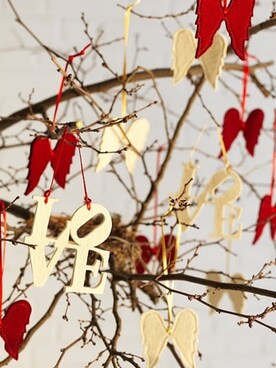 Daniela Rodriguesさんのコーディネート