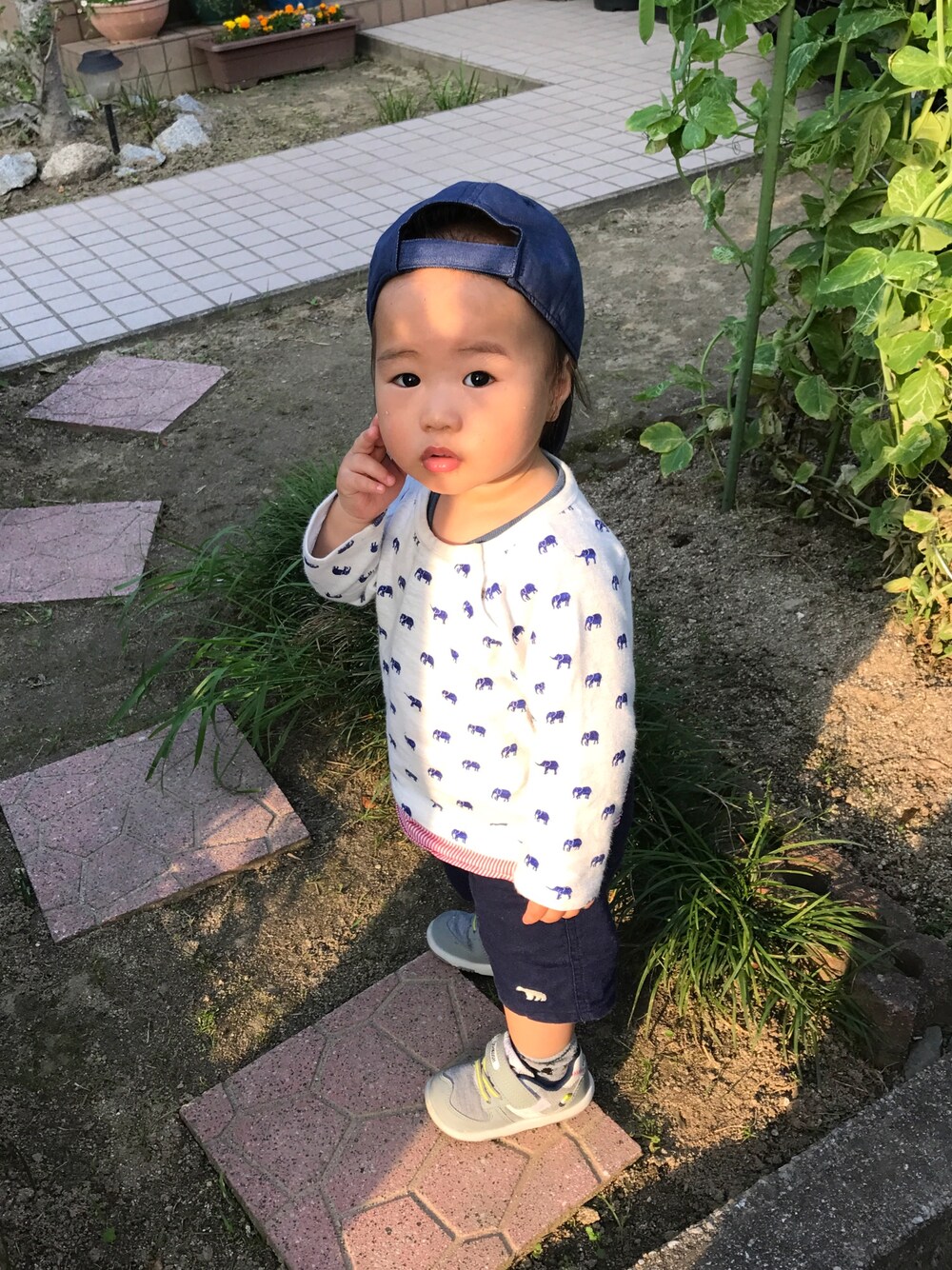 「キッズコーデ、キャップ、半ズボン」｜「西松屋のアイテム（キャップ、ブルー系）」を使った、なゆらむさん（キッズ・80cm）の春コーディネートの1枚目の写真