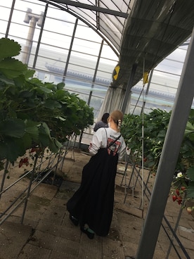 ｗｃｈａｎさんのコーディネート