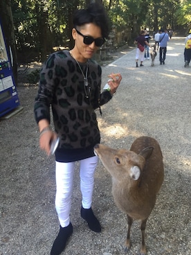 hiro5さんのコーディネート