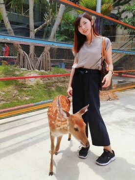 MichelleLinさんのコーディネート