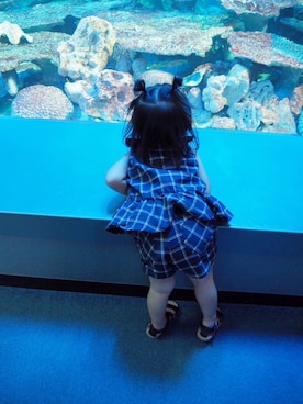 「水族館」｜「アイテム（その他）」を使った、KaNyaDeʕ·͡ˑ·ཻʔさん（キッズ・90cm）の夏コーディネート
