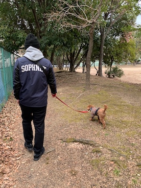「SOPHNET.（ソフネット）のアイテム（その他アウター）」を使った、ground65さん（メンズ・166cm）の冬コーディネート