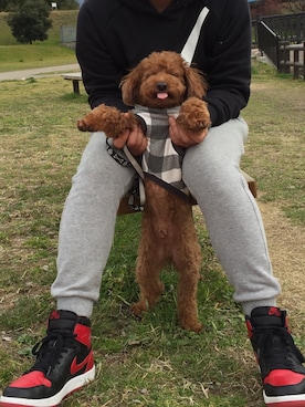 「F.C.Real Bristol（エフシーレアルブリストル）のアイテム（パーカー）」を使った、ground65さん（メンズ・166cm）の冬コーディネート