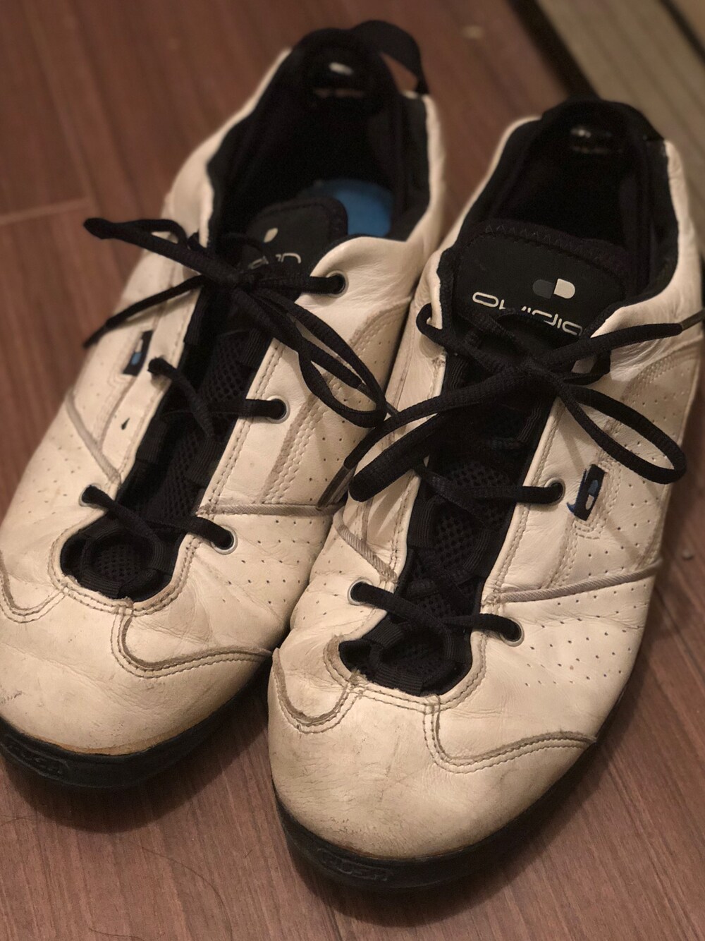 「ドラフトナイキ、ナイキ、オビディアン、OVIDIAN、2000年、ナイキの底力、番外編、なつかしい」｜「NIKEのアイテム（スニーカー、ホワイト系）」を使った、casa2011さん（メンズ・175cm）の冬コーディネートの1枚目の写真