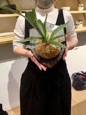 ngsさんのコーディネート