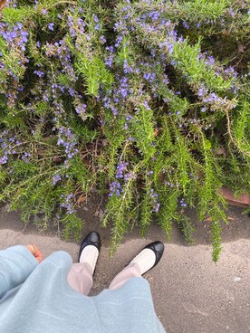 ﾈ ｯ ﾁ ｬ ﾝさんのコーディネート