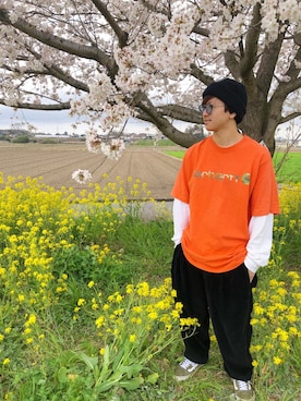 ざわちんさんのコーディネート